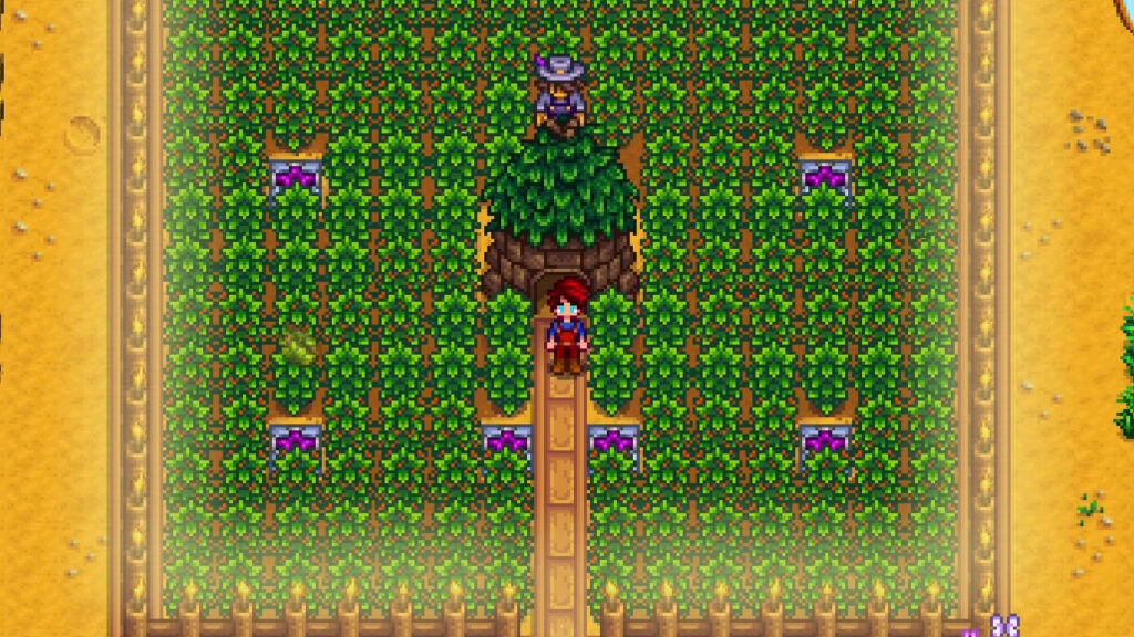 Coffee In Stardew Valley