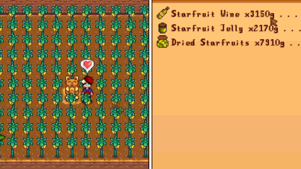 starfruit money making tips for stardew valley