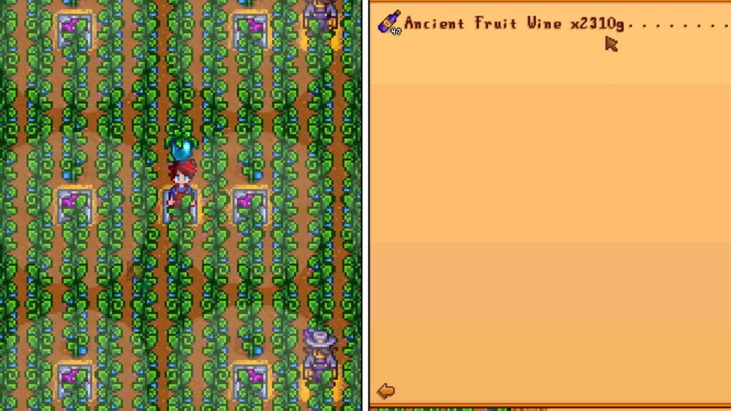 ancient fruit for money making stardew valley