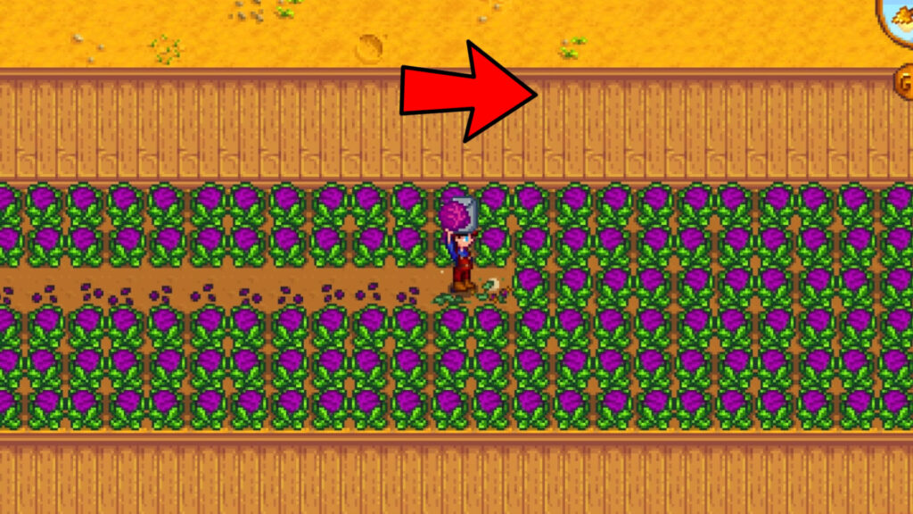 Farming in stardew valley