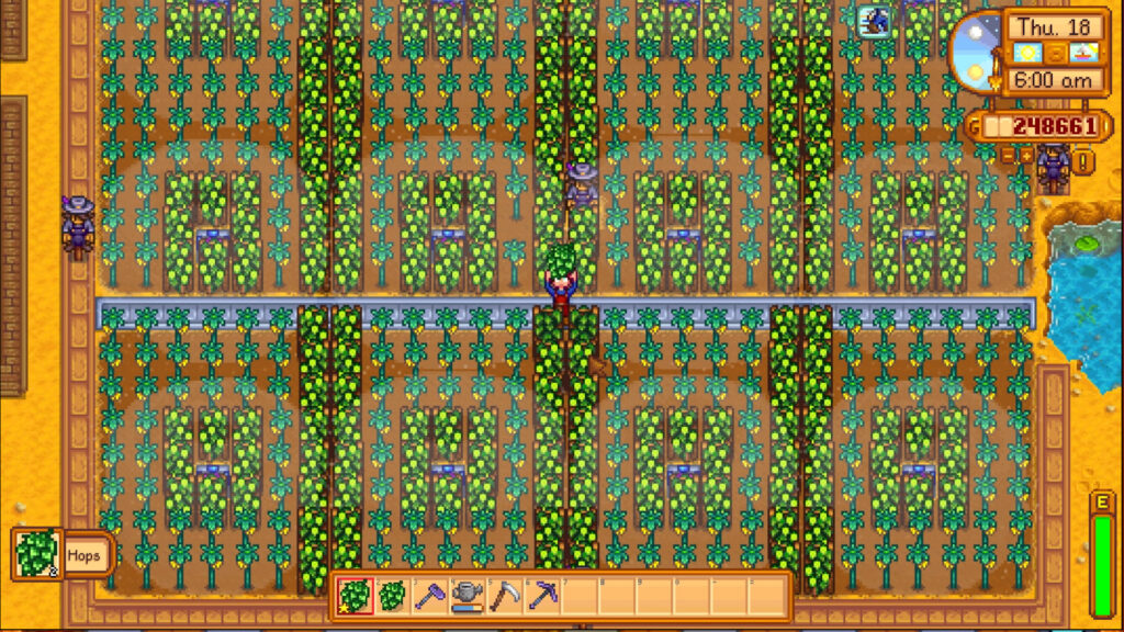 Best Stardew Valley tips for early game