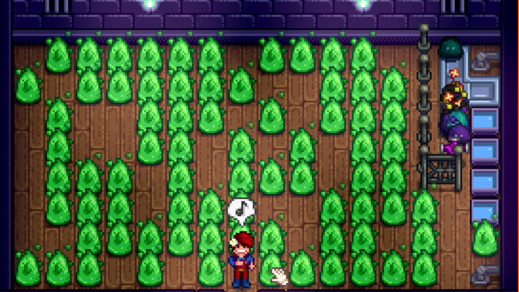 Slime hutch layout in stardew valley