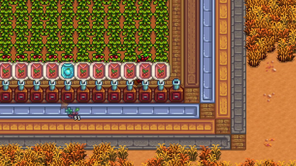 How To Get Ancient Fruit In Stardew Valley