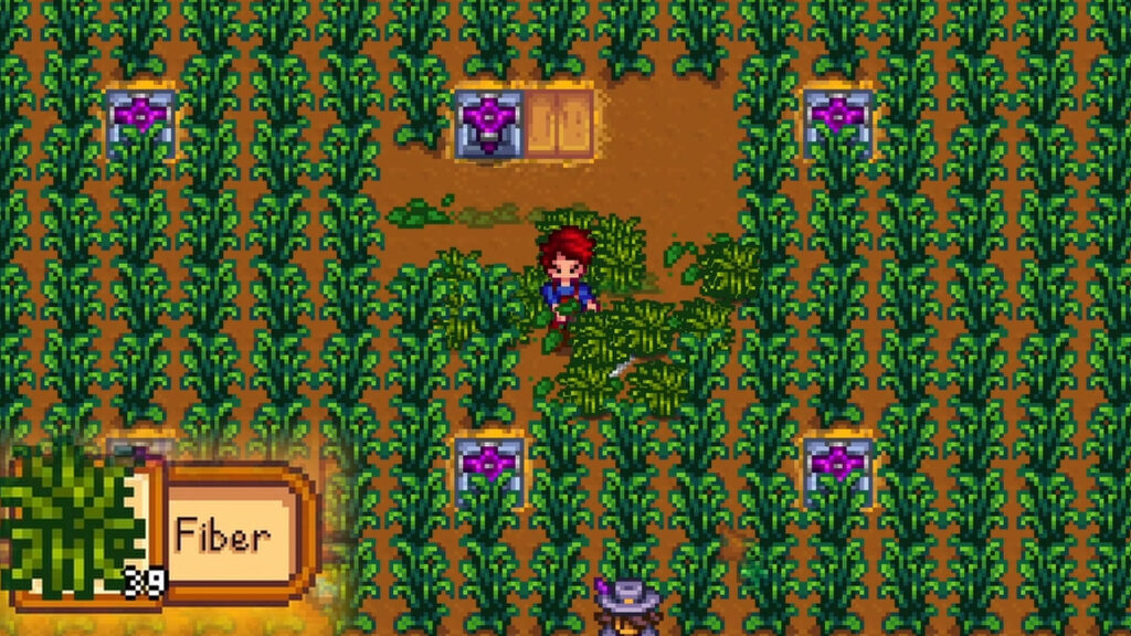 How to get fiber in stardew valley