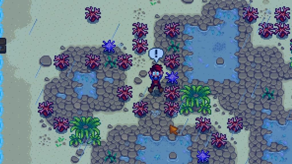 Stardew Valley Myth: More Forageables After Rain