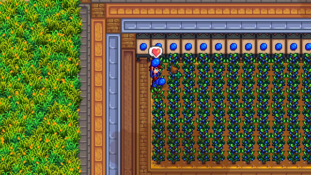 Preserve jars to get rich in Stardew Valley
