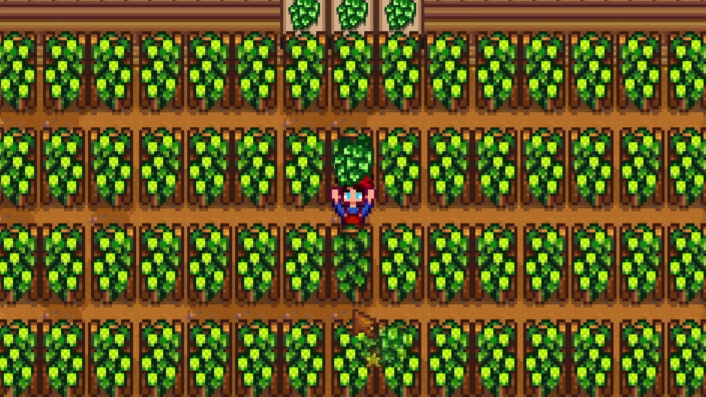Best Summer Crop In Stardew Valley