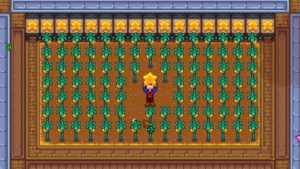 Stardew Valley Starfruit