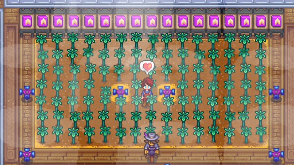 Stardew Valley Speed Grow