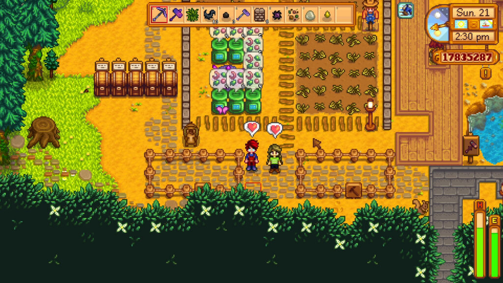 Stardew Valley Robin Exploit