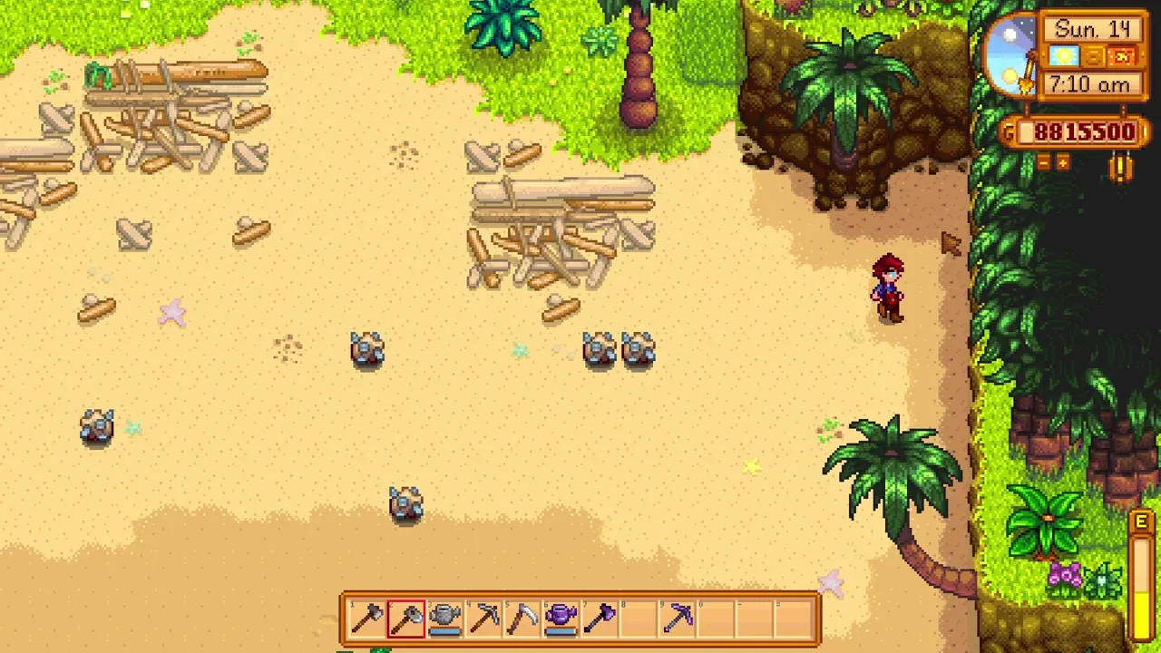 Mussel Nodes on the western island beach in Stardew Valley