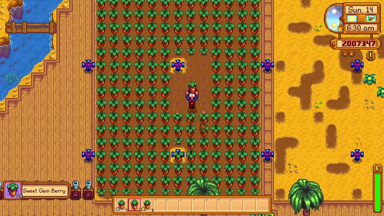 Stardew Valley: Crops growing on Ginger Island