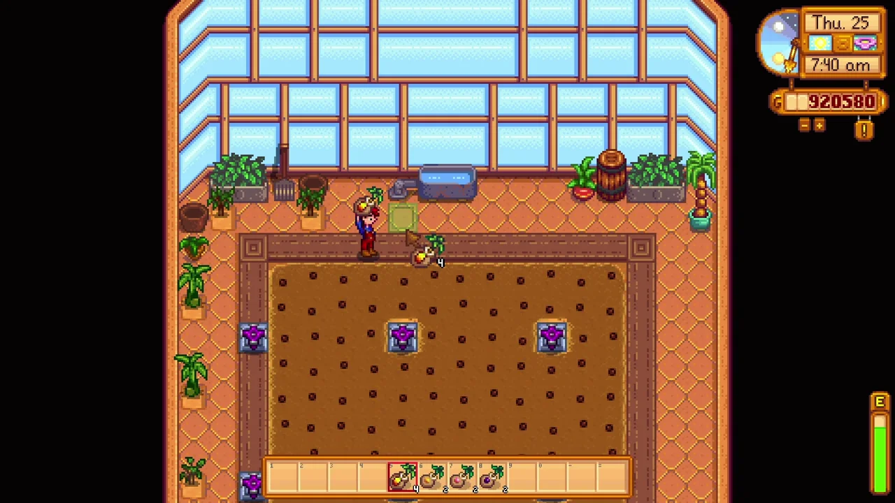 Stardew Valley: Sprinklers placed inside the greenhouse