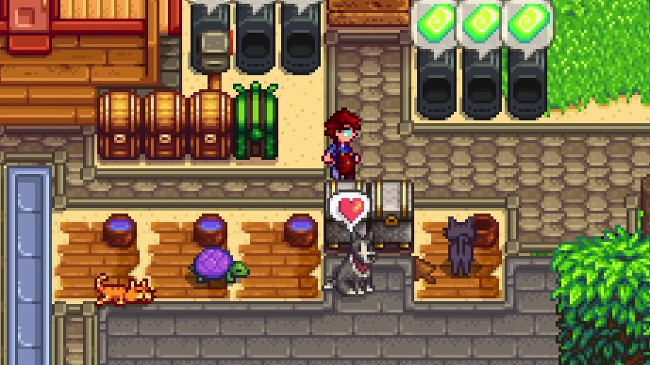 Stardew Valley: Caring for pets beside their bowls