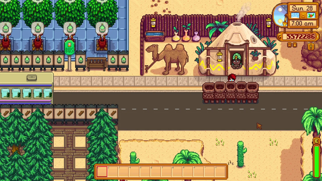 Stardew Valley: Jade ready near the Desert Trader