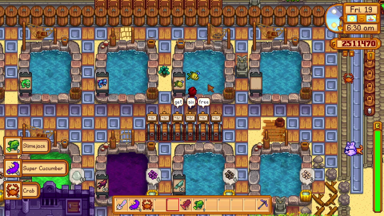 Stardew Valley: Fish Ponds on the farm