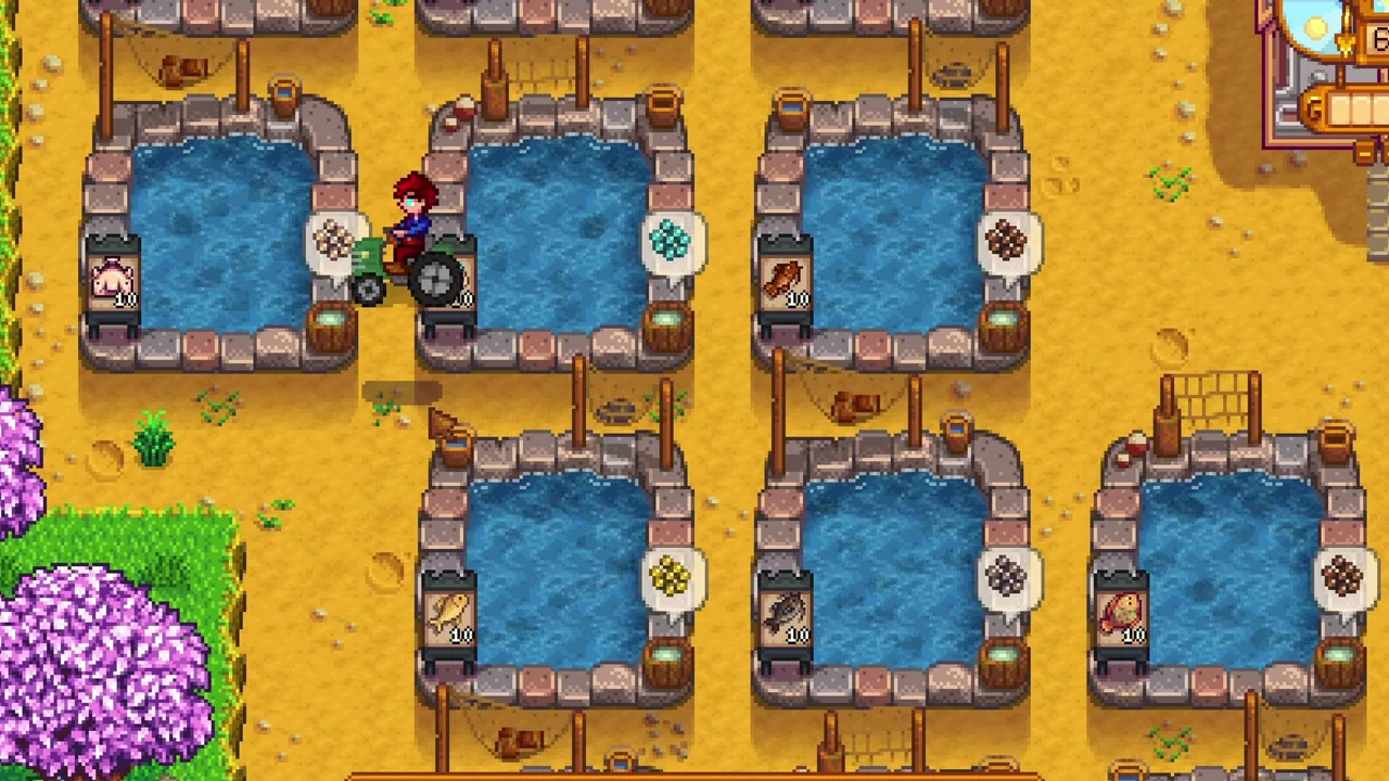 Stardew Valley: Fish Ponds arranged around paths