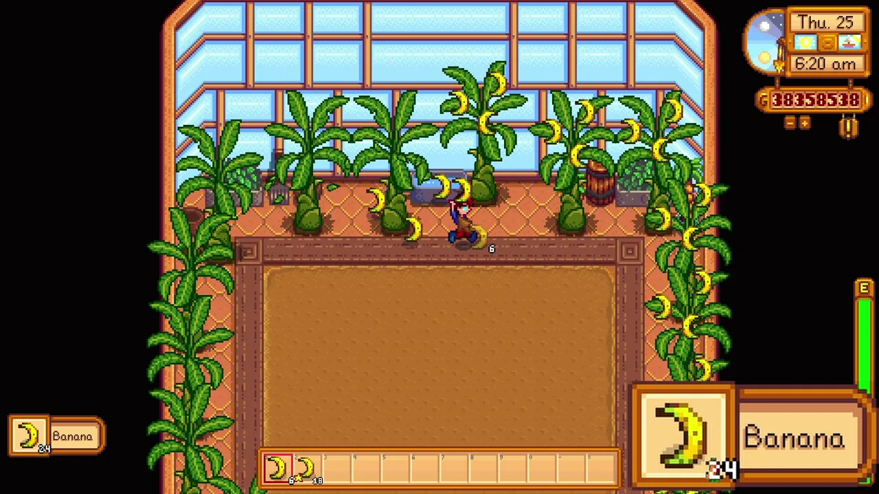 Stardew Valley: Bananas ready on greenhouse fruit trees