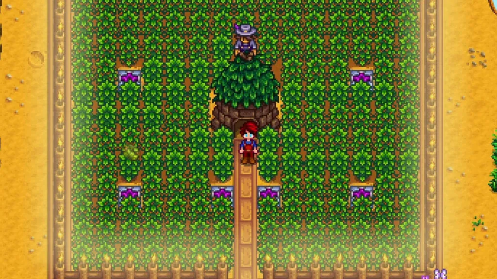 Coffee In Stardew Valley