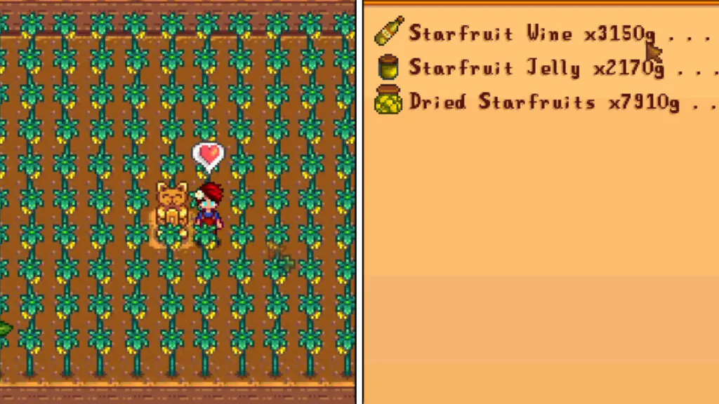 starfruit money making tips for stardew valley