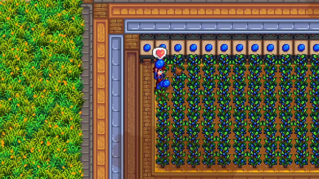 Preserve jars to get rich in Stardew Valley