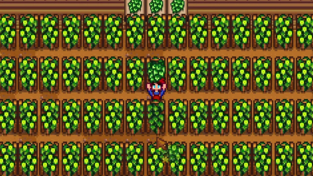 Best Summer Crop In Stardew Valley