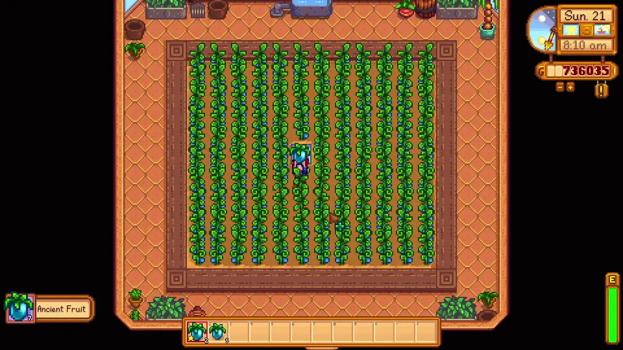 Stardew Valley: Ancient Fruit growing in the greenhouse
