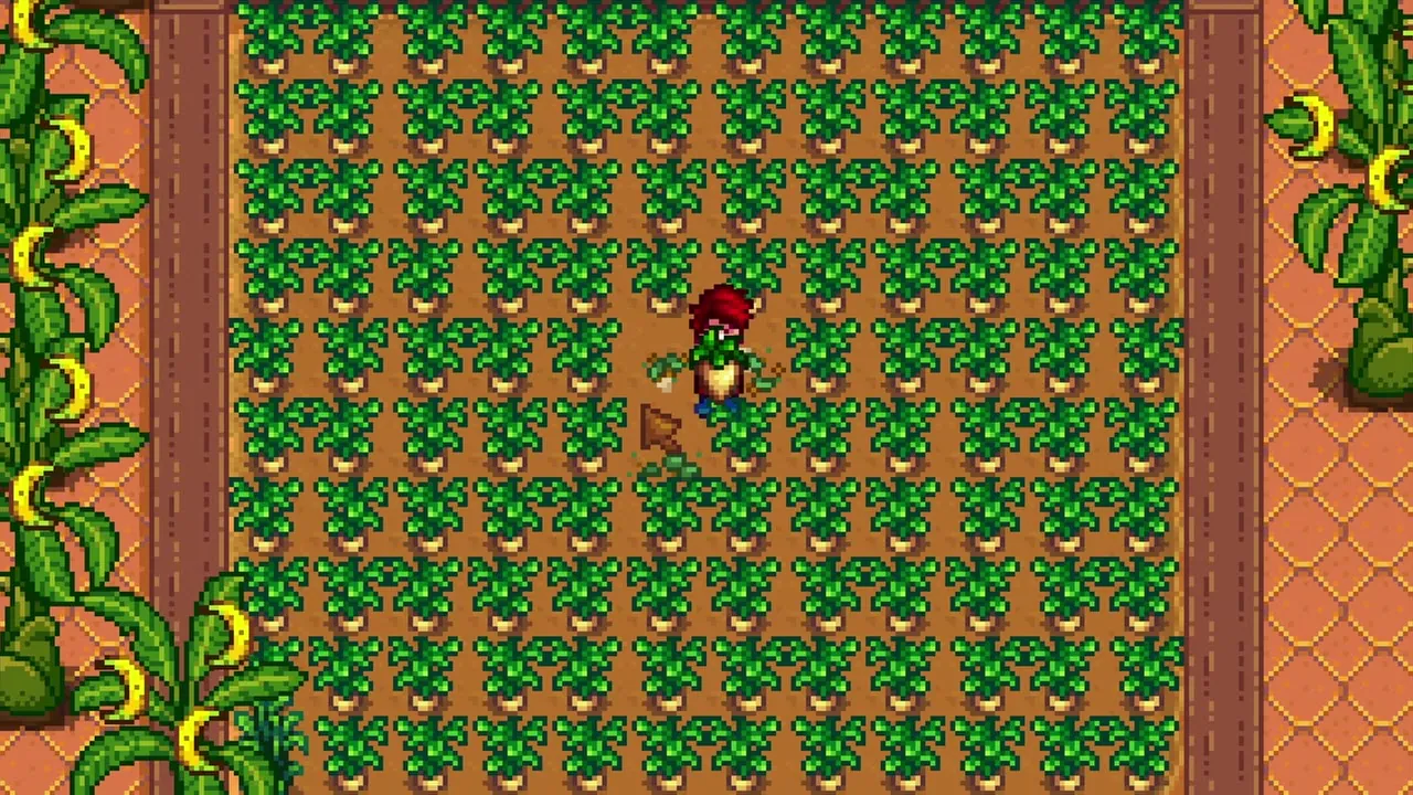 Stardew Valley: A greenhouse filled with crops