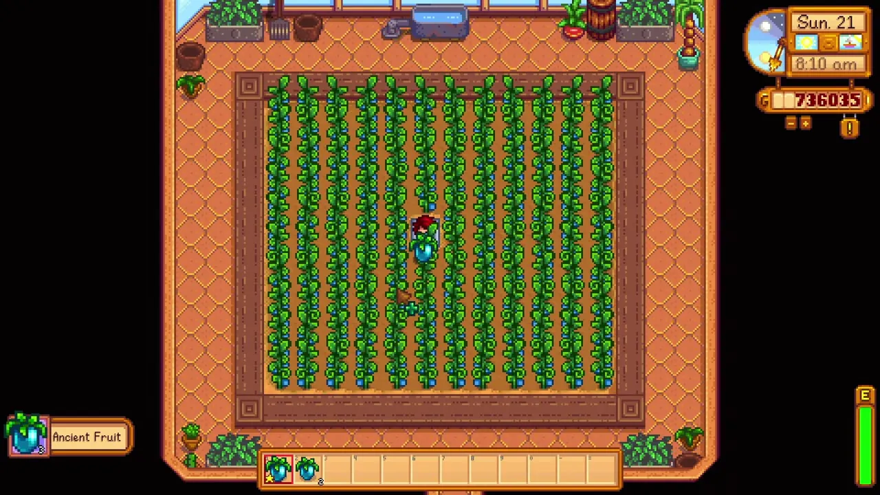 Stardew Valley: Ancient Fruit growing in the greenhouse
